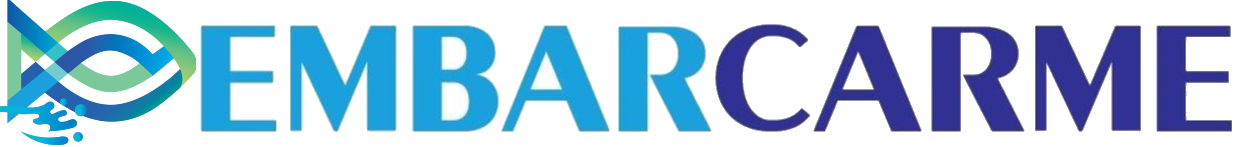 Blog Embarcarme